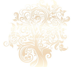 She Wealth Behavioural Money Coaching Logo